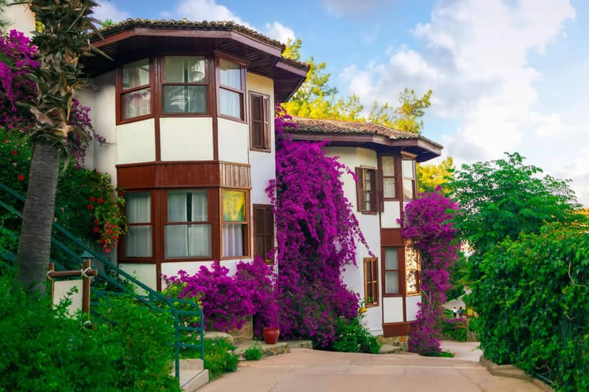 Отель Club & Hotel Letoonia