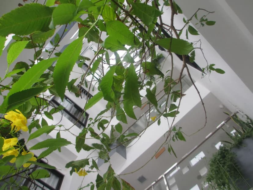 Ale Nhatrang Hotel